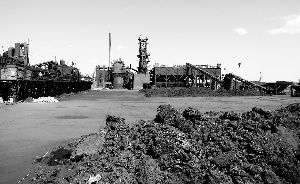 1336679576_sTZk2q.jpg