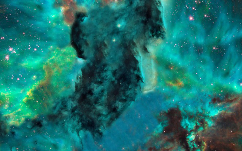6731605_980x1200_0.jpg