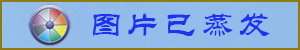 1555993671274530591.jpg