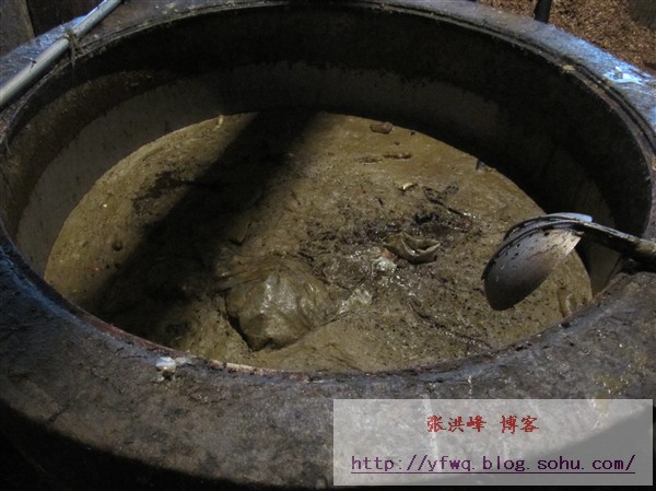 1283d44efebg213.jpg