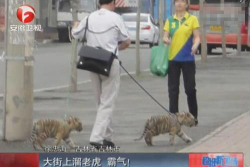 2012061315442230825.jpg