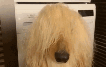 68611fd2gy1fhnt5k6q0xg20a006bqv7.gif