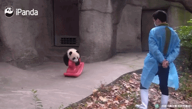 62037b5aly1fm4uglorlrg20ar0651ky.gif
