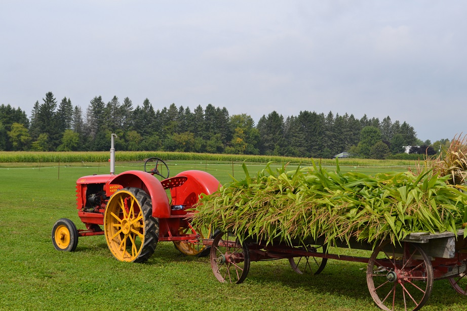 antique_tractor.jpg