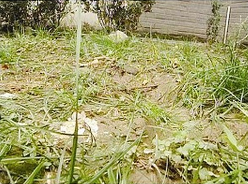 20121027101453a30c9.png
