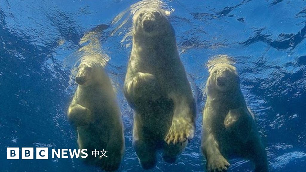 www.bbc.com