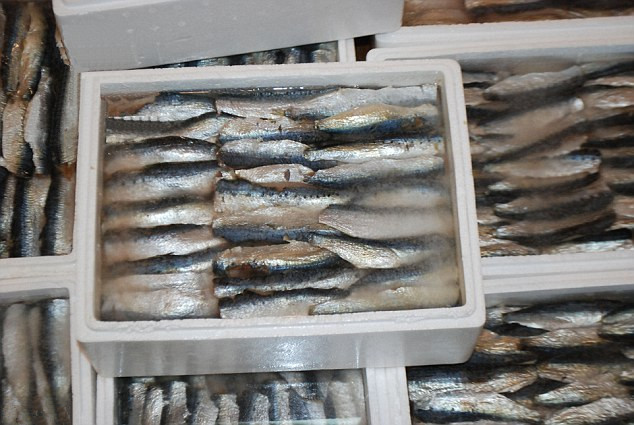 20130703084554251.jpg