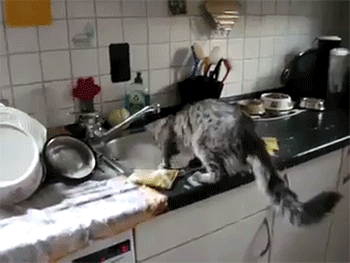 818d6679ly1fhfy1a6ra2g209q07b7wi.gif
