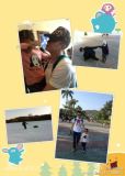 U5911P28T3D3660424F234DT20120617154511_small_h.jpg