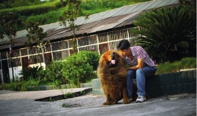 20120706043653fdad5.jpg