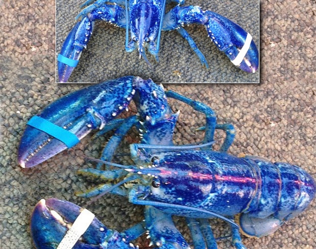 20130614103359498.jpg
