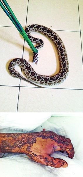 201206090243575e9e8.jpg