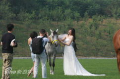 U5910P28T3D3730338F234DT20120903153013_small_h.jpg