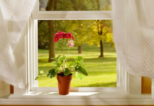 spring_through_windows-1.jpg