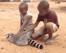71021e17gy1fgycvcn0lqg206404we83.gif
