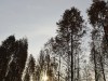 100x75_8ICMFAPN00AN0001.jpg