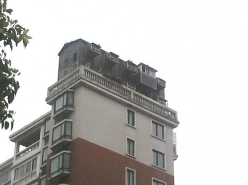 2010041503175625d7c.jpg