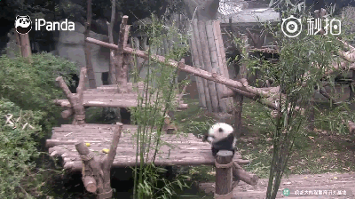 20170224094602691.gif