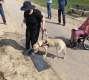 A person with service dog testing a new delineator plate.