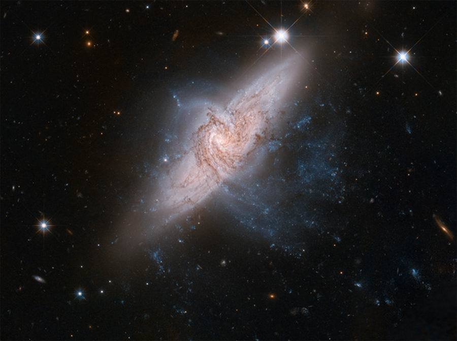 6863701_980x1200_0.jpg