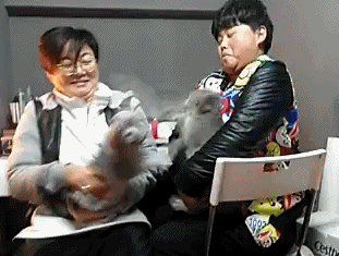 62037b5agw1f0pikdullog208n06jkjn.gif