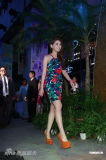 U7393P28T3D3679152F234DT20120708025907_small_h.jpg