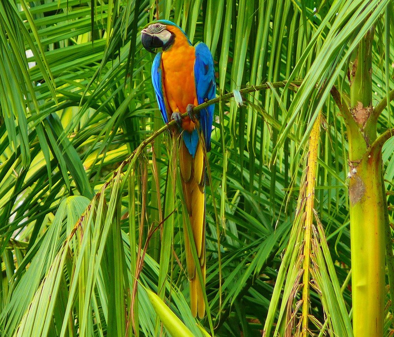 20130701034226176.jpg
