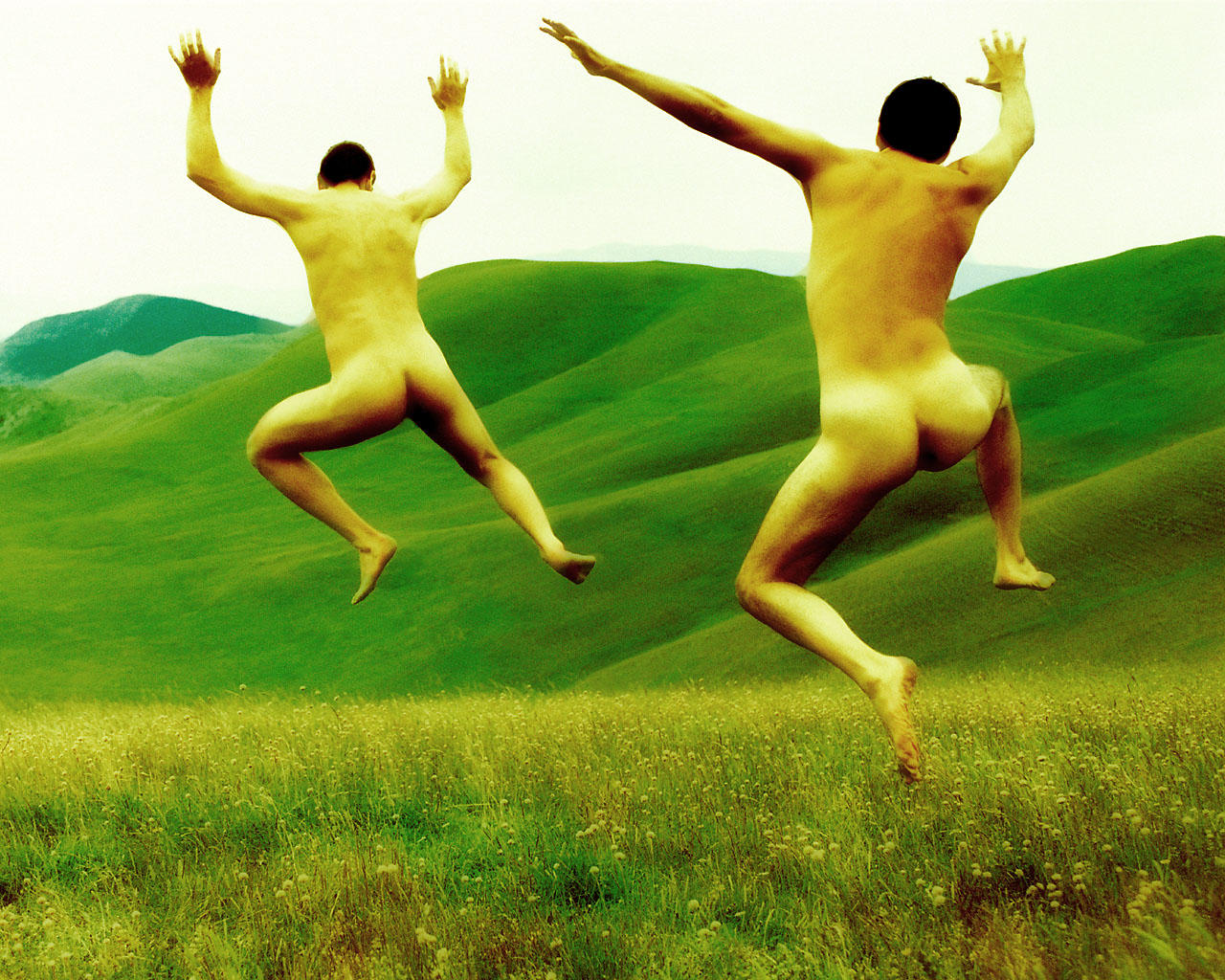 Running_Through_Yellow_Fields.jpg