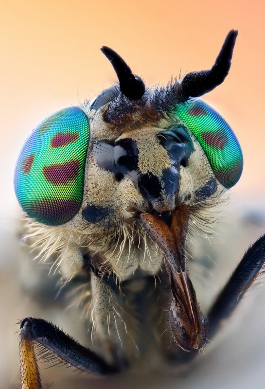 20130624025607942.jpg