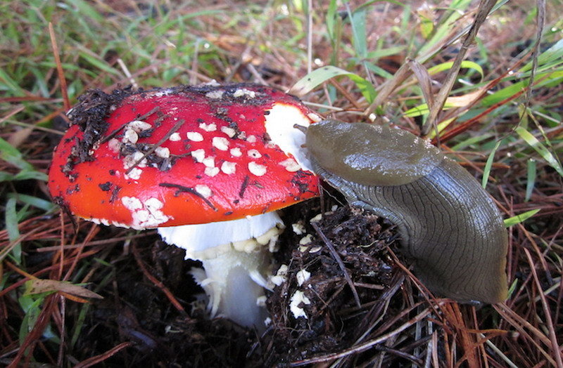 6854842_980x1200_0.jpg