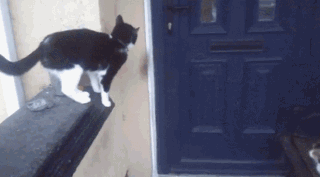 68611fd2gw1f8bll4vqtig208w04xu0z.gif