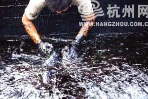 20108134931.jpg