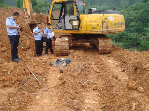 2010070309343540976.jpg