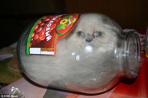 20112219289.jpg