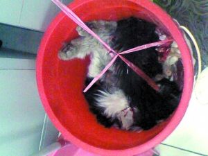 201005100228500f452.jpg