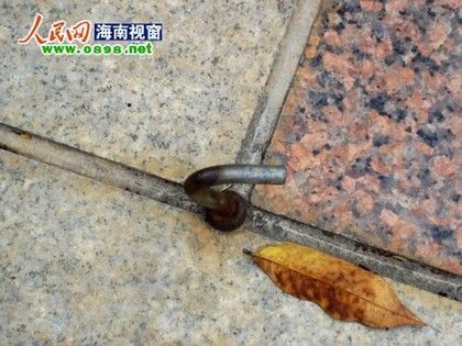 2012050910510979bf9.jpg