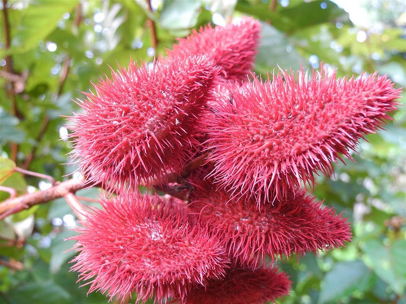20130701034232454.jpg
