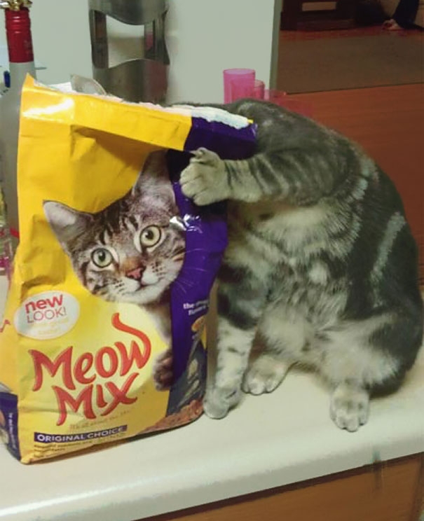 20130817082340587.jpg