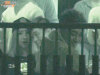 s_8JV6QR1F00AJ0003.jpg