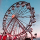 Sunset shining on a ferris wheel.