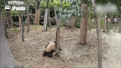62037b5agw1f85ugtav7og20b4069hdv.gif