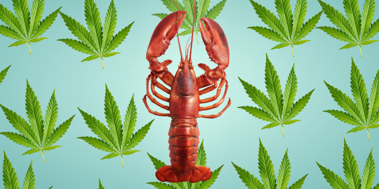 lobster-marijuana-today-main-180918_5b759da6777274d7ea223ed74a990046.fit-760w.jpg