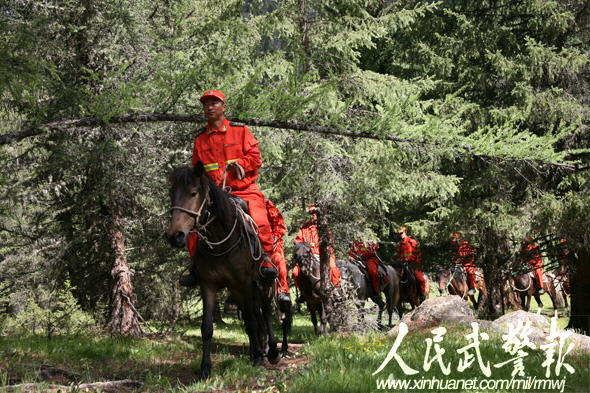 41622_244052_882615.jpg