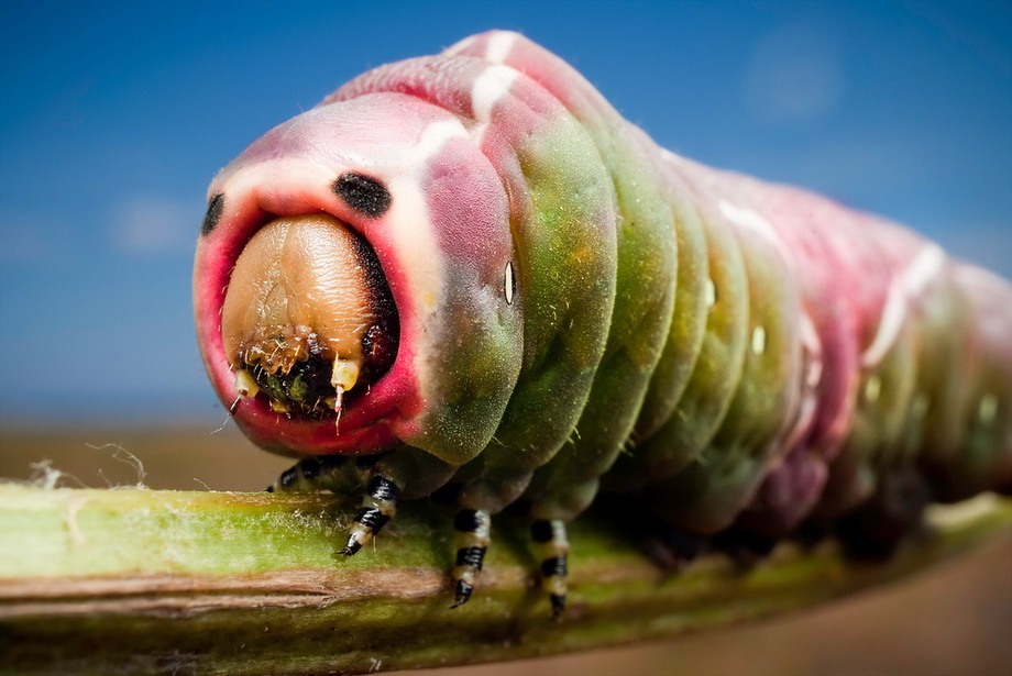 20130624025556181.jpg