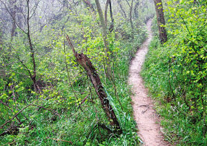 201004190434326cb98.jpg