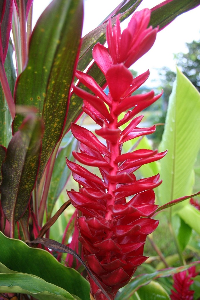 20130701034230495.jpg