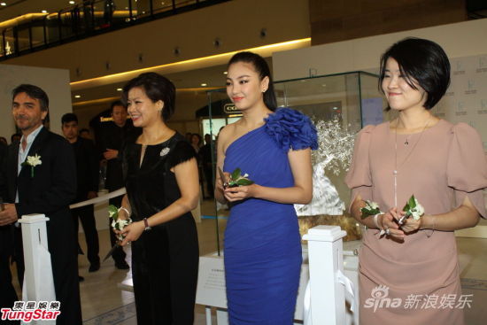 U7392P28DT20121017020837_1.jpg