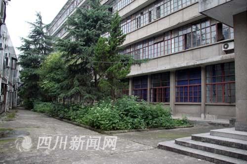201007051234432390e.jpg