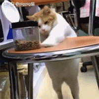 90eef340gy1fi4izsfau4g205k05kqv5.gif