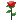 rose.gif